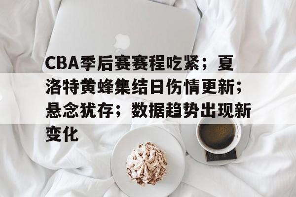 开云体育-CBA季后赛赛程吃紧；夏洛特黄蜂集结日伤情更新；悬念犹存；数据趋势出现新变化